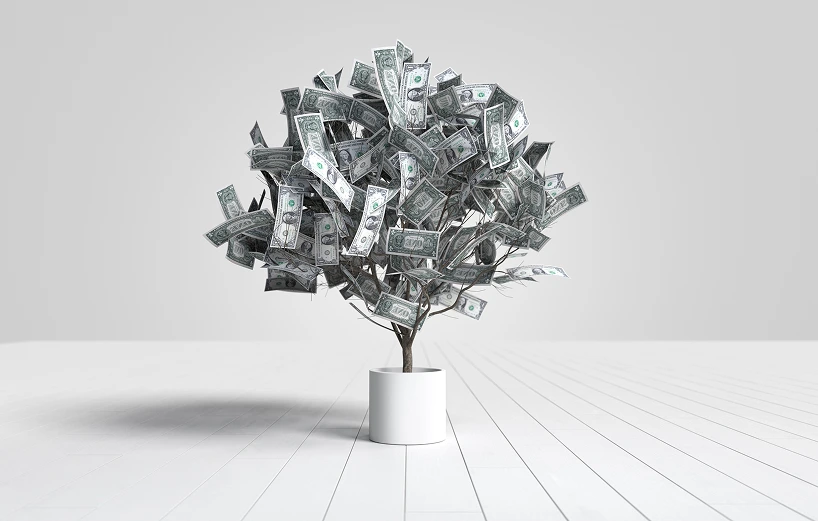 dollar-banknotes-tree-growing-white-pot